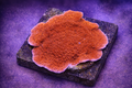 Montipora sp. Red Cap